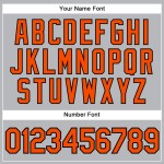 Nadelstreifen Grau Orange Jersey Custom Authentic Schwarz Baseball